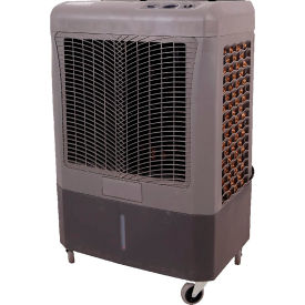Portable Evaporative Cooler, 115V, 2200 CFM