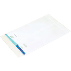 Flat Envelopes, 10"W x 13"L, White, 100/Pack