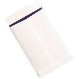 Ship-Lite Flat Envelopes, 6"W x 9"L, White, 100/Pack