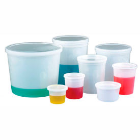 64oz (1920ml) Translucent HDPE Storage Containers with Snap-On Lids, Case of 50