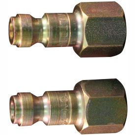 T Style Automotive Plug 1/4" FNPT 2 Pack