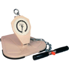 Back-Leg-Chest Dynamometer with Standard Platform, Child, 165 lb. Capacity