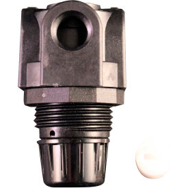Mini Low Pressure Regulator 1/4" NPT 250 PSI Gauge Not Included