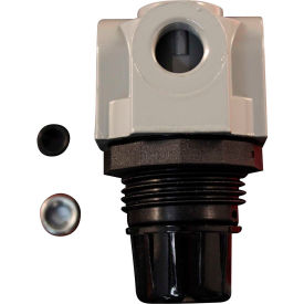 Mini Heavy Duty Regulator 1/4" NPT 250 PSI Gauge Not Included