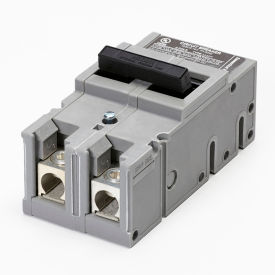 Main Breaker Type QFP 2-Pole 125A