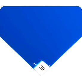 Clean Room Mat 1.5' x 3.75' Blue