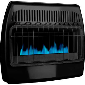 LP/NG Dual Fuel Blue Flame Vent Free Thermostatic Garage Heater - 30,000 BTU