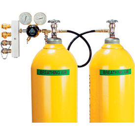 2-Cylinder Breathing Air Cascade Assembly, 3000 PSI, Hansen