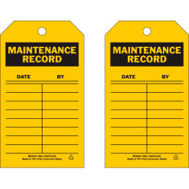 Maintenance Record Tag, 2 Sided, 10/Pkg, Polyester, 4"W x 7"H