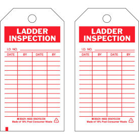 Ladder Inspection Tag, 2 Sided, 10/Pkg, Polyester, 3"W x 5-3-3/4"H
