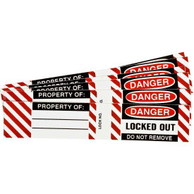 Steel Padlock Labels, Danger Locked Out Do Not Remove, 6/Pack