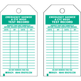 Emergency Shower & Eye Wash Test Record Tag, 10/Pkg, HD Polyester, 3"W x 5-3/4"H