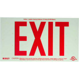 Exit Sign, Frameless, Glow Red, Polyester; Polystyrene, 15"W x 8-1/2"H