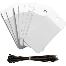 Self-Laminating Blank Tags, White, 25/Pkg, Polyester, 3-1/4"W x 5"H