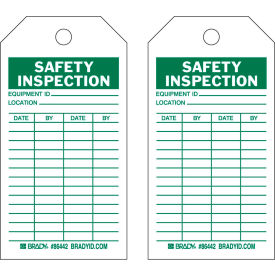 Safety Inspecton Tag, 2 Sided, 10/Pkg, HD Polyester Encapsulated, 3"W x 5-3/4"H