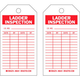 Ladder Inspection Tag, 2 Sided, 10/Pkg, HD Polyester Encapsulated, 3"W x 5-3/4"H