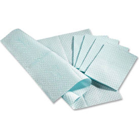 2-Ply Tissue/Poly Professional Towels, 13"W x 18"L, Blue, 500/Box