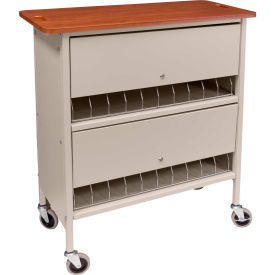 Privacy Chart Rack, 20 Binder Capacity, Cherry Top with Beige Rack.