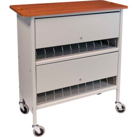 Artisan Privacy Chart Rack, 20 Binder Capacity, Cherry Top with Light Gray Rack