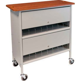 Artisan Privacy Chart Rack, 16 Binder Capacity, Cherry Top with Light Gray Rack