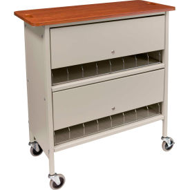 Artisan Privacy Chart Rack, 16 Binder Capacity, Cherry Top with Beige Rack