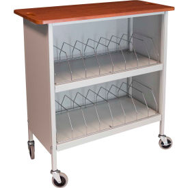 Artisan Cabinet Chart Rack, 16 Binder Capacity, Cherry Top with Light Gray Rack