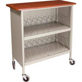 Artisan Cabinet Chart Rack, 16 Binder Capacity, Cherry Top with Beige Rack