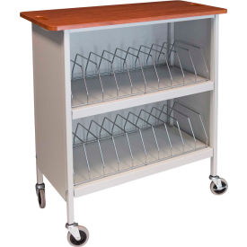 Artisan Cabinet Chart Rack, 20 Binder Capacity, Cherry Top with Light Gray Rack