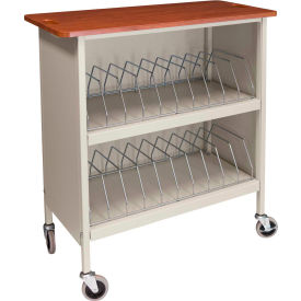 Artisan Cabinet Chart Rack, 20 Binder Capacity, Cherry Top with Beige Rack