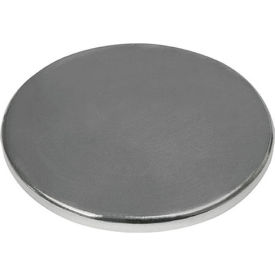 Rare Earth Disc - 1.00" Dia. x 0.06" Thick