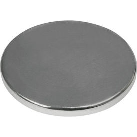 Polymagnet Rare Earth Disc - 0.75" Dia. x 0.06" Thick