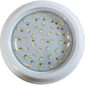 5" Clear Round Incandescent Interior Dome Light - White Housing