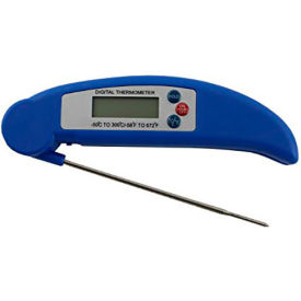 Folding Digital Thermometer