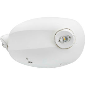 Contemporary LED Emergency Unit with Adjustable Optics, Thermoplastic