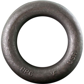 5" O.D. Forged Lunette Eye - LW625