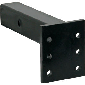 2-1/2" Pintle Hook Mount - 2 Position with 12" Shank