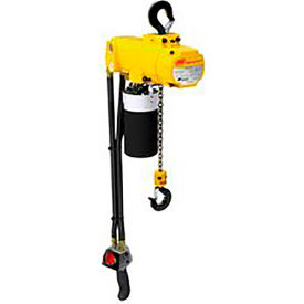 Chain Hoist 250 Lb. Capacity 10 Ft Lift