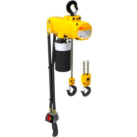 Chain Hoist 125 Lb. Capacity 10 Ft Lift