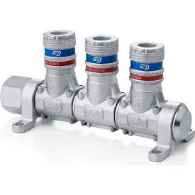 Asian Interchange Multi-Link Kit 1/4" Body Size with 3 Safety Couplings and 1/2" Female Inlet