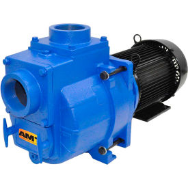 3" NPT Cast Iron Sewage/Trash Pump, 150psi, Silicon Carbide, Viton Seal, 7.5hp