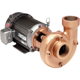 2x1.5" Cast Iron Heavy Duty Straight Centrifugal Pump, Buna-N Seal, 3hp 182JM, 3 Phase
