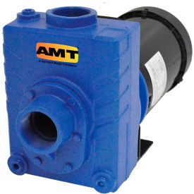 2" Cast Iron Self-Priming Centrifugal Pump, 150gpm, 75psi, Buna-N Seal, 2hp