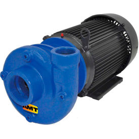 3x2" 316 SS Heavy Duty Straight Centrifugal Pump, Viton Seal, 10HP 215JM, 3 Phase Motor