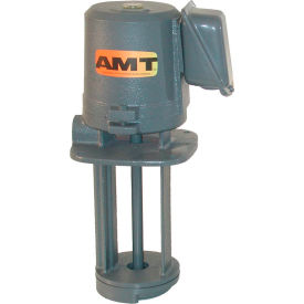 Cast Iron Immersion Type Coolant Pump, 56gpm, Sealless Design, 1" NPT Discharge