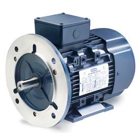 Motor IEC Metric Motor-5.5HP, 230/460V, 1180/975RPM, IP55, B3/B5, 1.15 SF, 87.5 Eff.