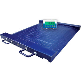 PTM Series Drum Platform Scale With AE403 LCD Indicator, 1,100 lb x 0.2 lb