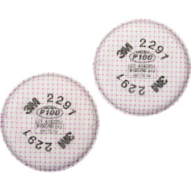 Advanced Particulate Filter, P100, 2/Bag