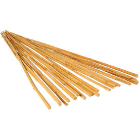 6' Bamboo Stakes, Natural Color, 25 Pack