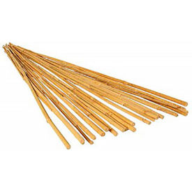 4' Bamboo Stakes, Natural Color, 25 Pack