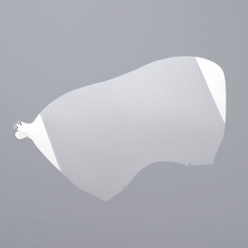 Faceshield Protector, For 9000 Series Full Face Respirator, 15/Bag